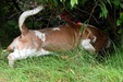 Enlarge photo 3