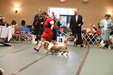 Enlarge photo 26
