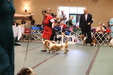 Enlarge photo 27