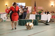 Enlarge photo 34
