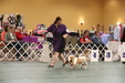 Enlarge photo 54