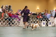 Enlarge photo 52