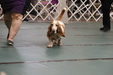 Enlarge photo 43