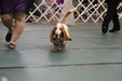 Enlarge photo 42