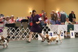 Enlarge photo 38