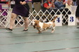 Enlarge photo 34