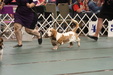 Enlarge photo 31