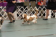 Enlarge photo 30