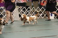 Enlarge photo 29