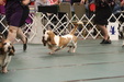 Enlarge photo 28
