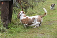 Enlarge photo 31