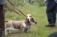 Enlarge photo 30