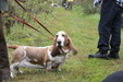 Enlarge photo 29