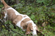Enlarge photo 16