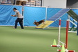 Enlarge photo 42