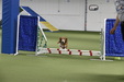 Enlarge photo 109