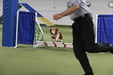 Enlarge photo 105