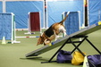 Enlarge photo 95