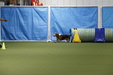 Enlarge photo 93