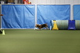 Enlarge photo 92