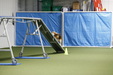 Enlarge photo 89