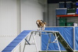 Enlarge photo 83
