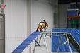 Enlarge photo 82