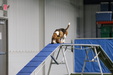 Enlarge photo 81