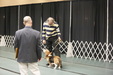 Enlarge photo 142