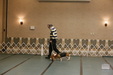 Enlarge photo 137
