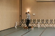 Enlarge photo 135