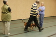 Enlarge photo 127
