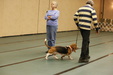 Enlarge photo 126