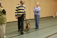 Enlarge photo 122