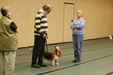 Enlarge photo 119
