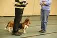 Enlarge photo 110