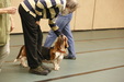 Enlarge photo 109