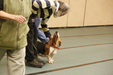 Enlarge photo 108