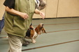 Enlarge photo 107