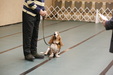 Enlarge photo 106