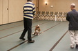 Enlarge photo 105