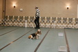 Enlarge photo 96
