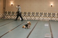 Enlarge photo 97