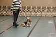 Enlarge photo 89