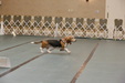 Enlarge photo 80