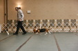 Enlarge photo 62