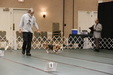 Enlarge photo 59
