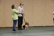 Enlarge photo 51