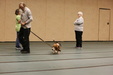 Enlarge photo 48