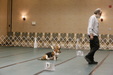 Enlarge photo 30